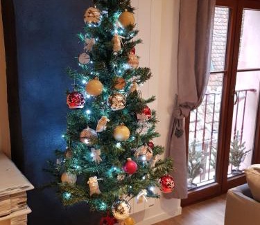 Riquewihr Apartment | à l'orée du bois