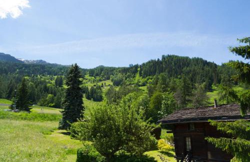 Bruson Ski Chalet | à la Maison des Cheneaux