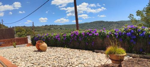 Sant Pere de Ribes Apartment | Ànima del Garraf