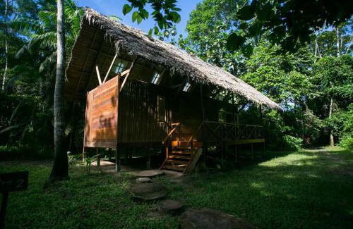 Indiana Cabin | Ämak Iquitos Ecolodge - All Inclusive