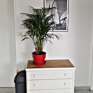 Langrune-sur-Mer Apartment | écho des vagues , vue mer