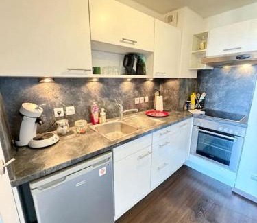 Erstein Apartment | Évasion douillette, charmant 2 pieces 20 minutes de Strasbourg