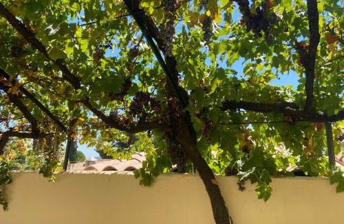 Les Pennes-Mirabeau Apartment | Évasion en Provence Bas de Villa avec Jardin & Vignes, Soleil & Fraîcheur