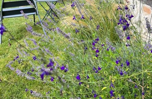 Jouy-le-Potier House | Évasion en Sologne : Gîte PMR, Billard, Tennis & Nature Proche Châteaux de la Loire - FR-1-590-420