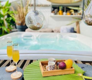 Merignac House | Évasion Tropicale - Villa d'Artiste avec Jacuzzi Privé dans un jardin Exotique
