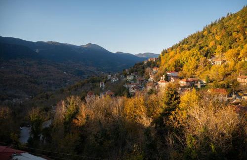 Megalo Chorio Apartment | Αρχοντικό