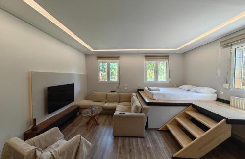 Karpenisi Apartment | Εμμέλεια