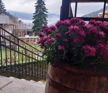 Elati Apartment | ΛΑΓΟΥΜΙ suite Α3