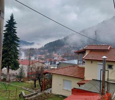 Elati Apartment | ΛΑΓΟΥΜΙ suite Α3