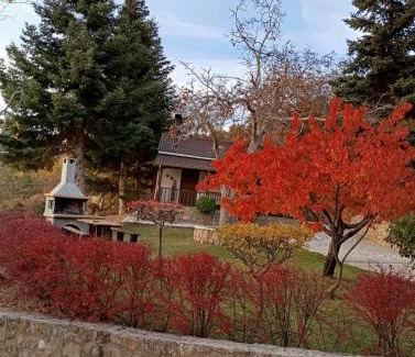 Synikia Mesi Trikalon House | Ξενώνας Το Πατρικό