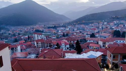 Karpenisi Apartment | Το Πέτρινο της Γιαγιάς Μαρίκας