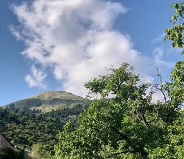 Karpenisi Apartment | Το Σπίτι της Ευτυχίας Σουίτα