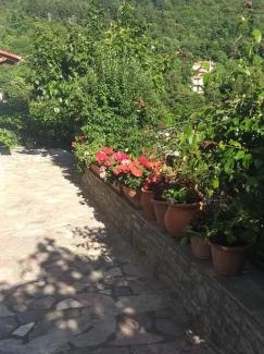 Karpenisi Apartment | Το Σπίτι της Ευτυχίας Σουίτα