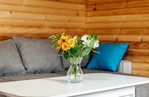 Sapareva Banya House | Къщи за гости БРИК