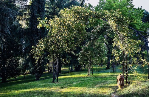 Citta della Pieve Villa | уауауауауауаууау