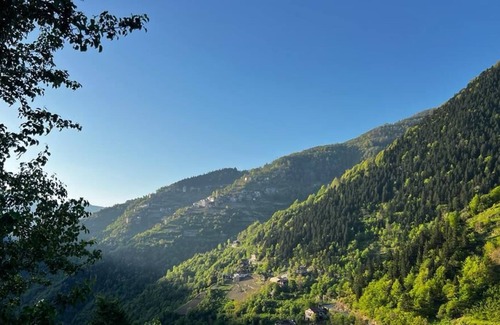 Caykara Cottage | كوخ في اوزنجول Uzungöl