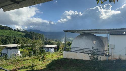 Mae Wang Other | ข้างเขาแคมป์ Khangkhao Camp