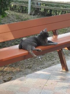 Lampang House | จำค่า ชาเลท์ บ้านพักสวนเกษตร (Jumka Chalet - Home and Farm Stay)