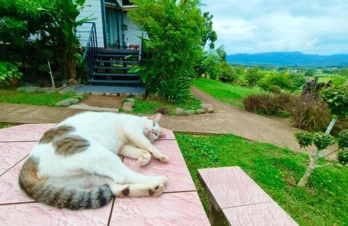 Pua House | นะลาวิว รีสอร์ท ปัว Nala View Resort Pua