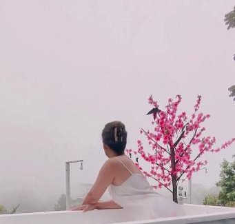 Khao Kho House | พูลวิลล่าminiบ้านสวนเกดกนกเขาค้อ