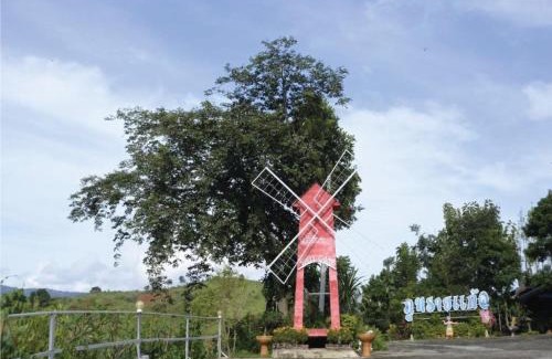 Wang Nam Khiao Resort | ภูทรายแก้วรีสอร์ทวังน้ำเขียว