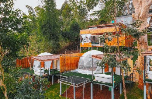 Pong Yaeng House | ภูแสงไฟ โฮมสเตย์