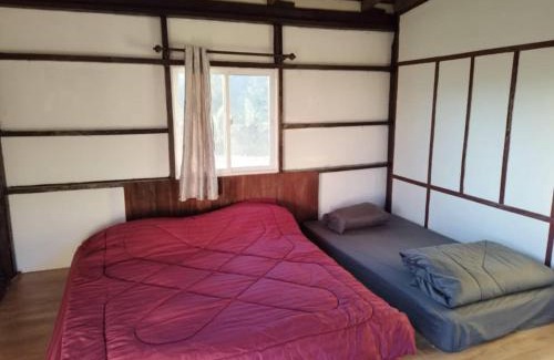 Tha Wang Pha House | มองนาภูคาน่านโฮมสเตย์