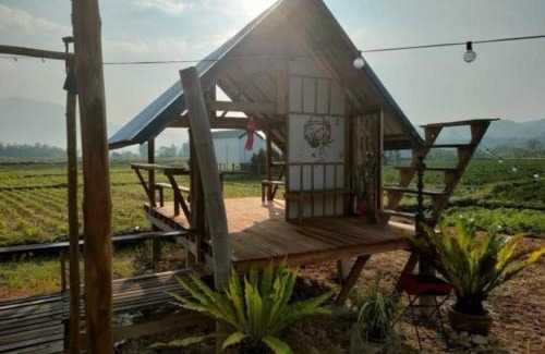 Tha Wang Pha House | มองนาภูคาน่านโฮมสเตย์