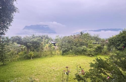 Chiang Dao Bed & Breakfast | ม่อนหมอกเชียงดาว