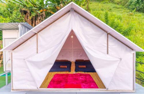 Mae Rim Other | ม่อน ซากุระ ม่อนแจ่ม