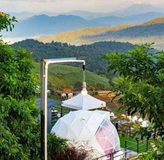 Mae Rim Other | ม่อน ซากุระ ม่อนแจ่ม