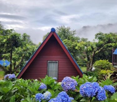 Tap Tao Ski Chalet | อุกฤษฟาร์มฮิลล์ ภูชี้ฟ้า