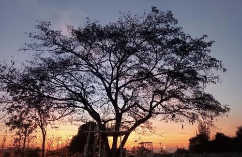 Khao Yoi Resort | เขายัอยวาเล่ย์