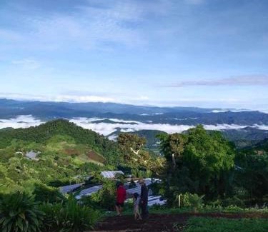 Samoeng Tai Other | เต็นท์กระโจม - Raiwassana Baandoy