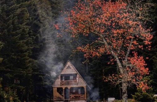 Ambrolauri Ski Chalet | ხის სახლი