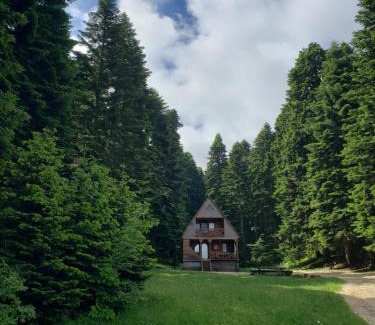 Ambrolauri Ski Chalet | ხის სახლი