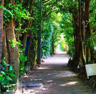 Sakimotobu Villa | ヴィラ Cy MOTOBU 沖縄本部町 一棟貸し