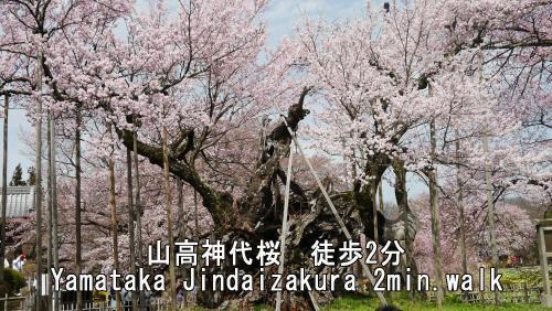 Shirasu House | 山高 さくらの里【English support available】