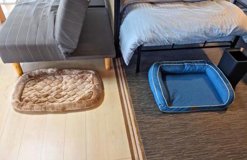 Biei House | 徳島のペットと泊まれる付き貸し切り一軒家
