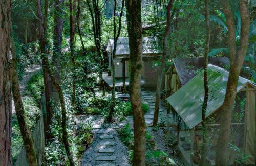 Changjiang County House | 景德镇树园心舍民宿 Forest Haven B&B