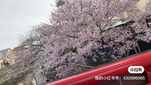 Minami Ward Villa | 桜川別莊