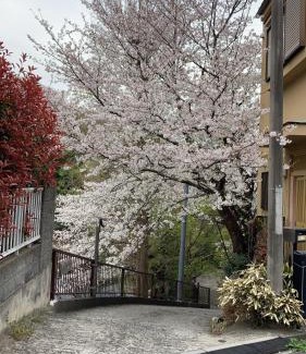 Minami Ward Villa | 桜川別莊