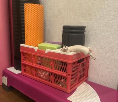 Nasu House | 森の中で仲間や家族とゆっくり過ごせる温泉付コテージ 会員制別荘地で広大なプライベート空間 ペット可 那須高原りんどうハウス