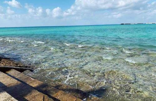 Okinawa House | 空港まで車で15分〜ビーチまで徒歩1分〜海沿いの野鶴居