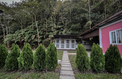 Datong Other | 鉄木彩虹小屋