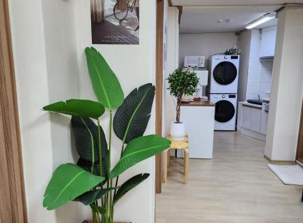 Sungin-dong Apartment | 몽마르뜨숭인 퀸4 룸3 최대8인 얼음정수기 비데 명동 동대문 홍대 인사동 케이팝