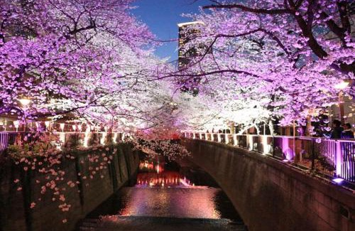 Itabashi Villa | 001T 夢Y's INN Nirinso 中板橋 中板橋駅徒歩3分 3ldkまるごと貸切 池袋駅まで3駅8分 お花見スポット 飲食店多数
