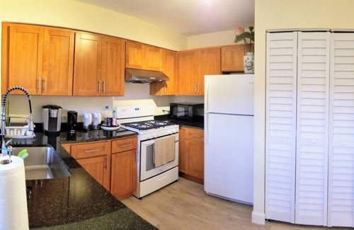 Chinatown House | 1 #23 - 4 Bedroom Condo - McCormick Place, Wintrust Arena, Chinatown