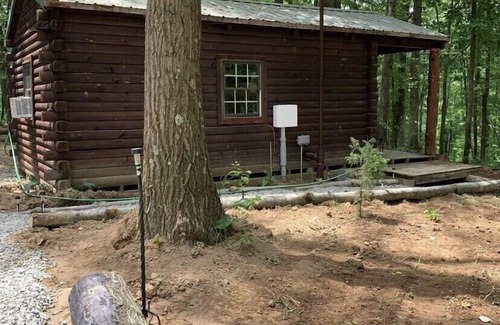 McArthur Cabin | 1 Bedroom,1 Bath, Porch, Fire Pit, Grill, Beautiful Wooded Location, Wi-Fi also!