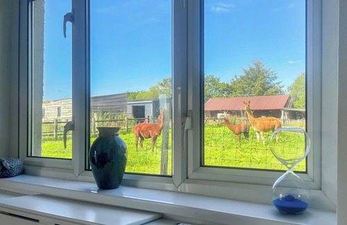 Porthyrhyd Cottage | 1 bedroom accommodation in Llanelli